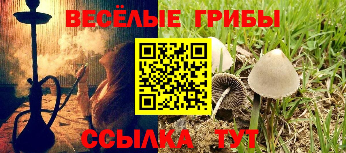 Нововоронеж  Галлюциногенные грибы MAGIC MUSHROOMS  Вход с VPN  Псилоцибиновые грибы Psilocybine cubensis 